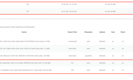 用L大的固件双硬盘做混合Raid?